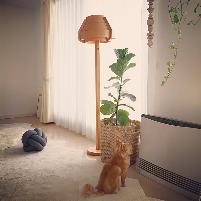 haruhinaさんの実例写真