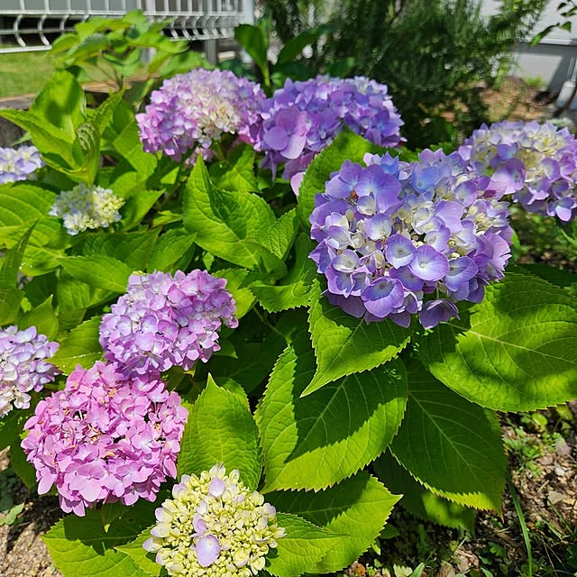 mayumiさんの実例写真