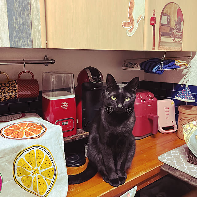 jijiさんの実例写真