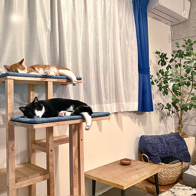 mako2yaさんの部屋