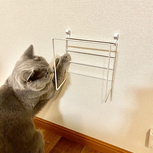 hachiさんの部屋