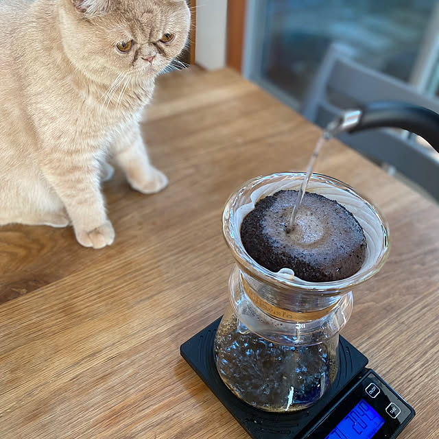 sznoieさんの部屋