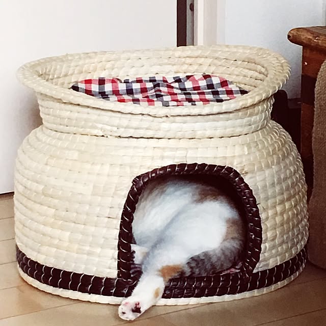 yokkochanさんの実例写真