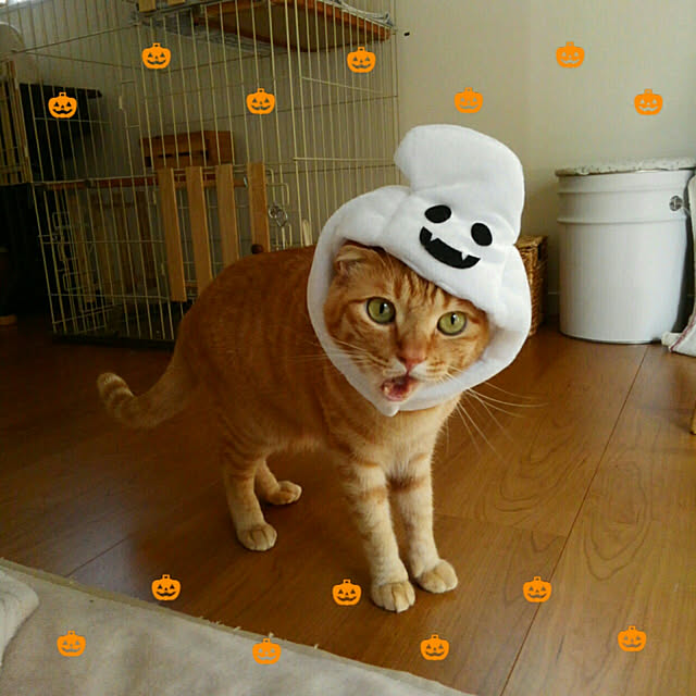mayutan.さんの実例写真