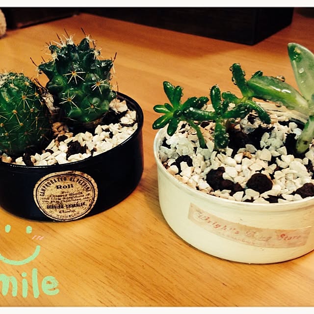 nitaninjinさんの実例写真