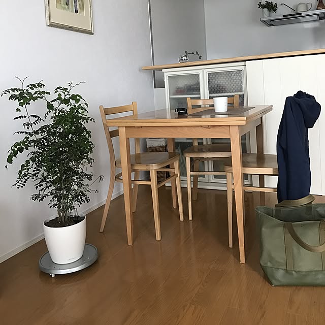 pontaさんの実例写真
