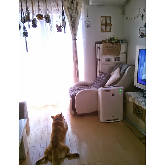 kotaさんの実例写真