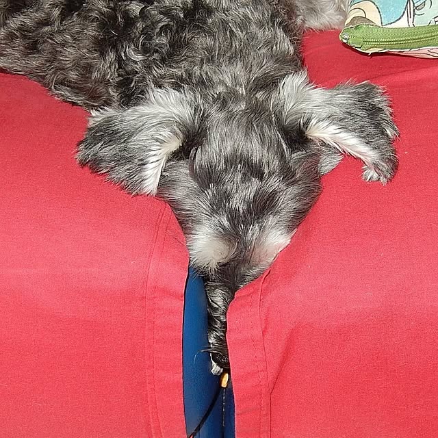 ampinさんの実例写真