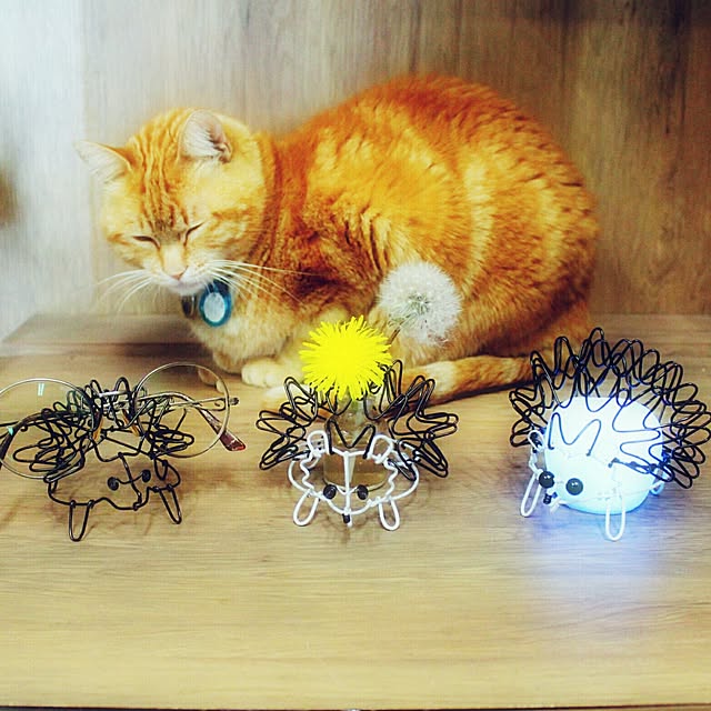 J.BOYさんの実例写真