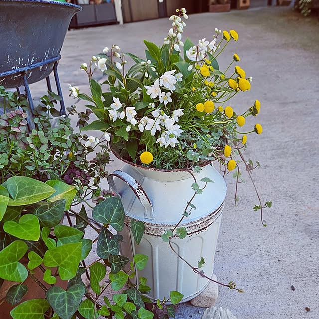 mocomocoさんの部屋