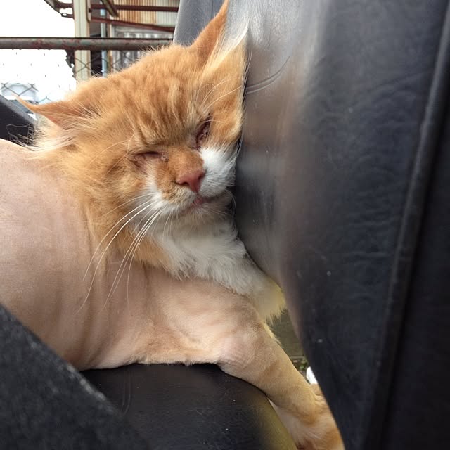 namaさんの実例写真