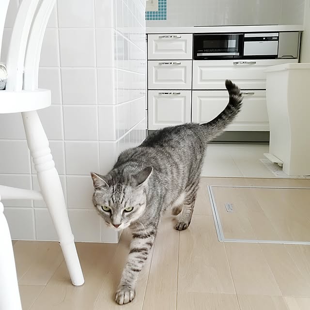 nicoさんの実例写真