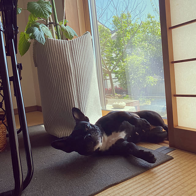 kotaroさんの部屋