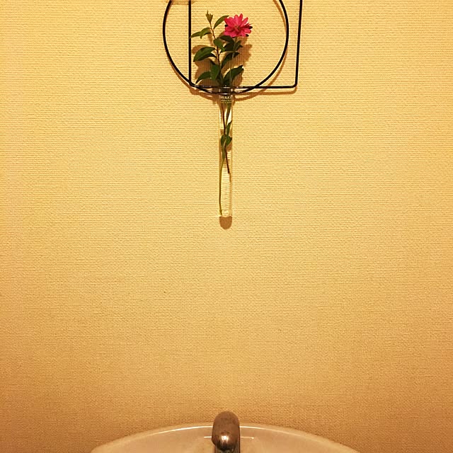 _____shuga2さんの実例写真