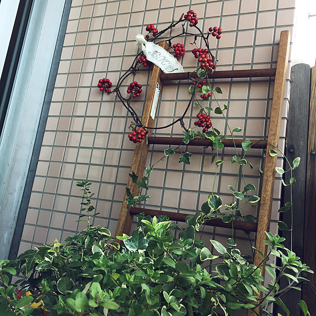 HKSさんの実例写真