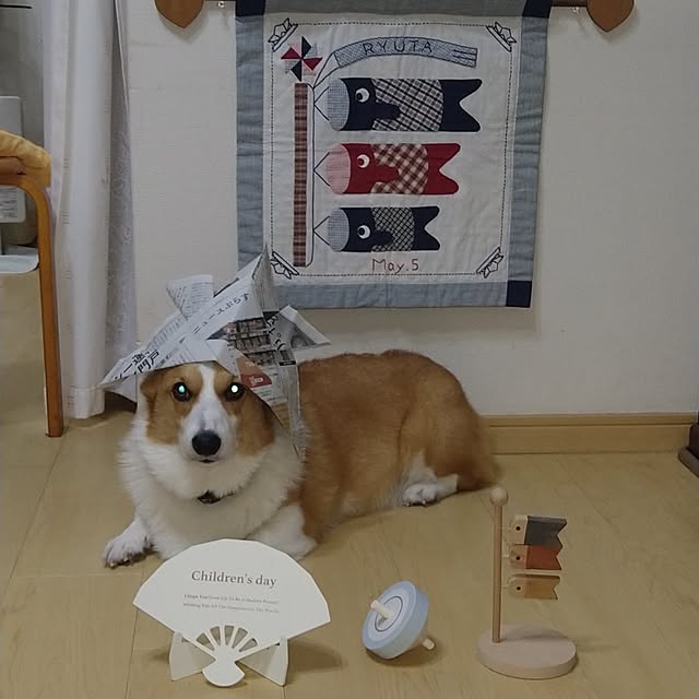 kyon814さんの部屋