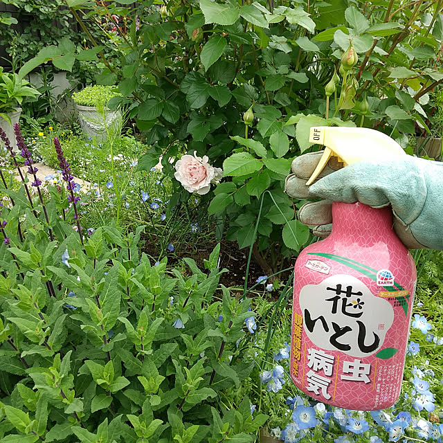 hiramariさんの実例写真