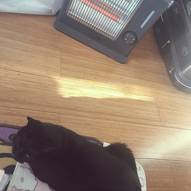FSさんの実例写真