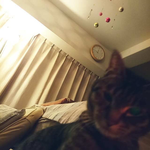 Masamiさんの実例写真