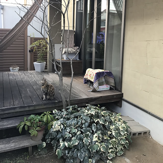 atesamoursさんの実例写真