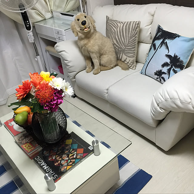 Danielagaさんの実例写真