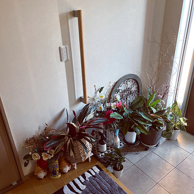 yukarin-gardenさんの部屋