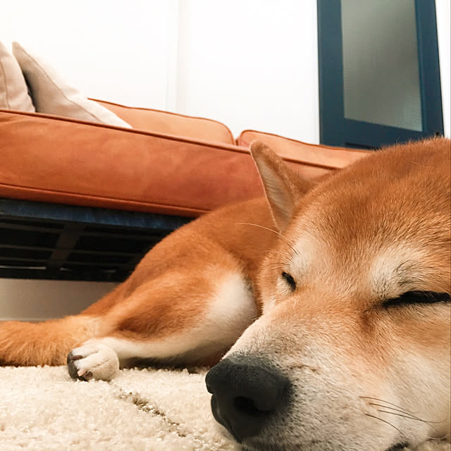 diez_taraさんの実例写真