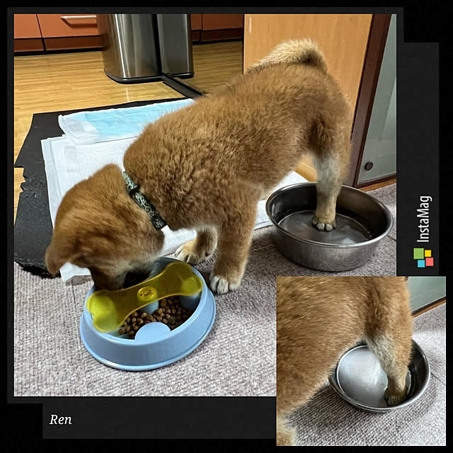 cocosorasakuさんの実例写真