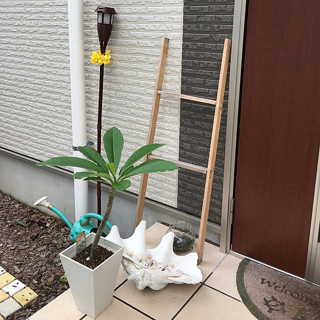 alohamamaさんの実例写真