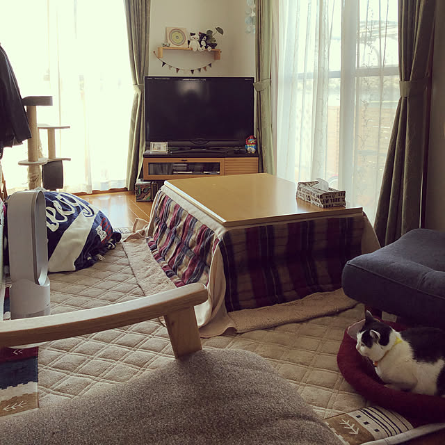 miiko3さんの実例写真