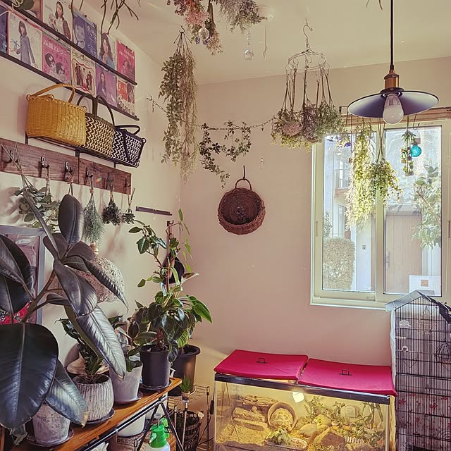 umeboshicyanさんの部屋