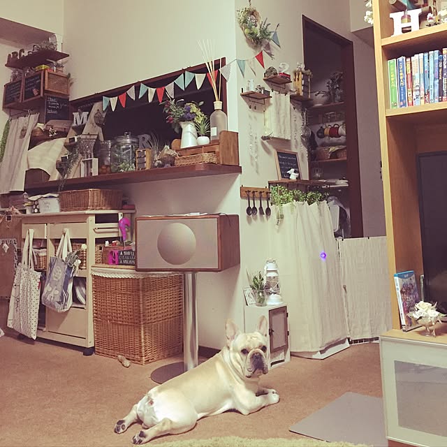 実例写真