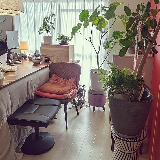 atarasiioutiさんの部屋