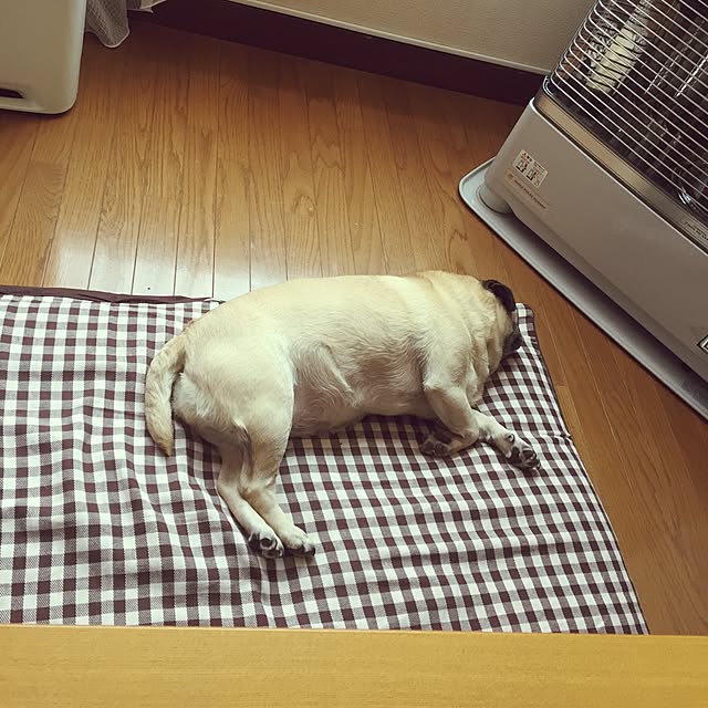 picoさんの実例写真