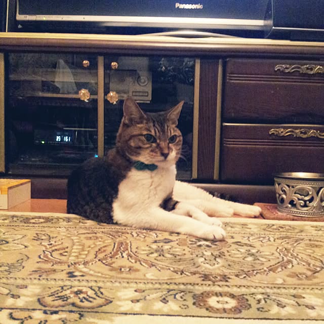 emmyyさんの実例写真