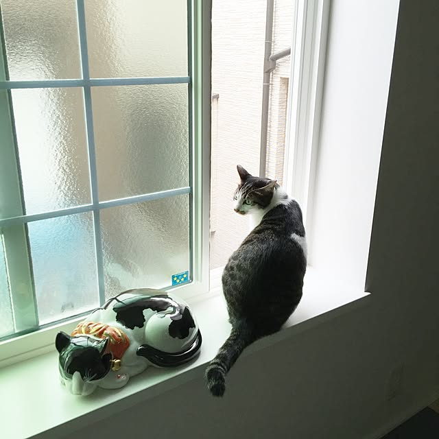 yuchiさんの実例写真