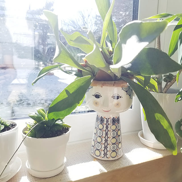 shimaaadsさんの実例写真