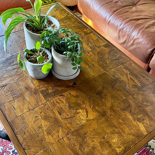 DIY/観葉植物/机のインテリア実例 - 2022-10-04 09:55:51