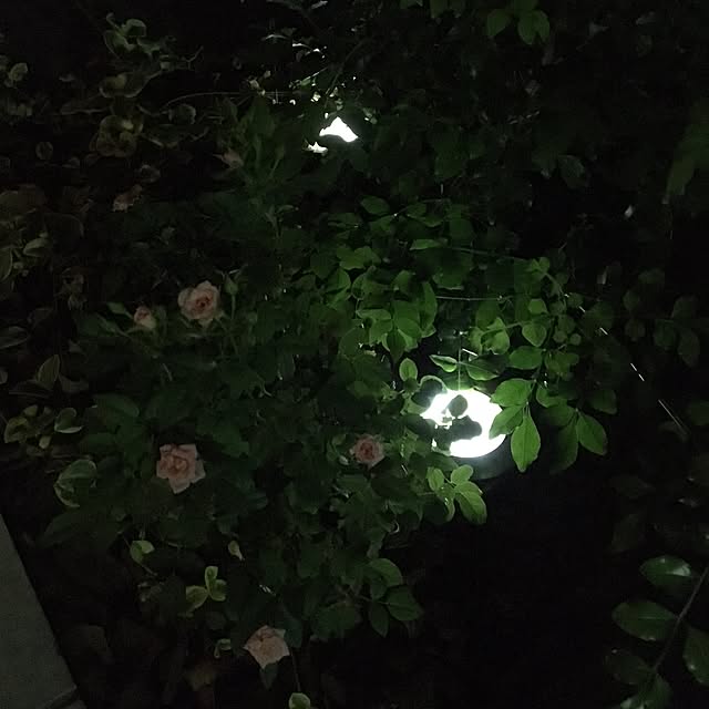 higakingさんの実例写真
