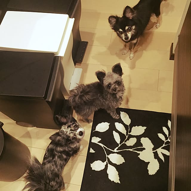 sayakaさんの実例写真