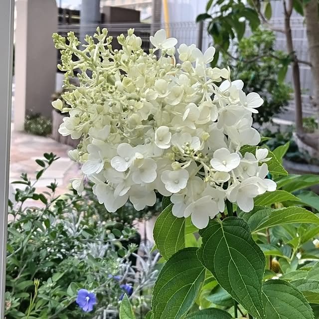kuuさんの実例写真