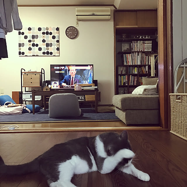 hacchiさんの実例写真