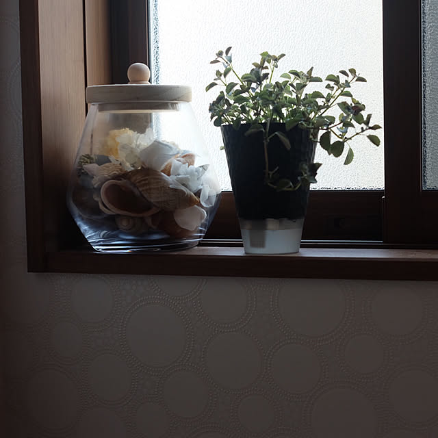 erika0315さんの実例写真