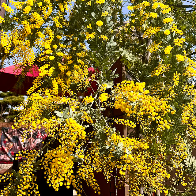 yottanさんの部屋