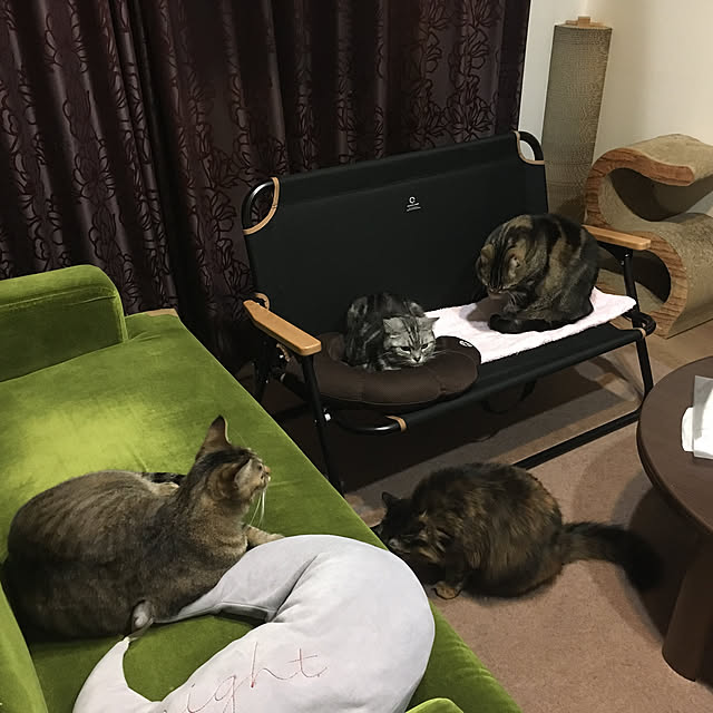 mikomaruさんの実例写真