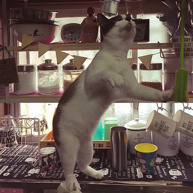 vivienne.coco-keiさんの実例写真