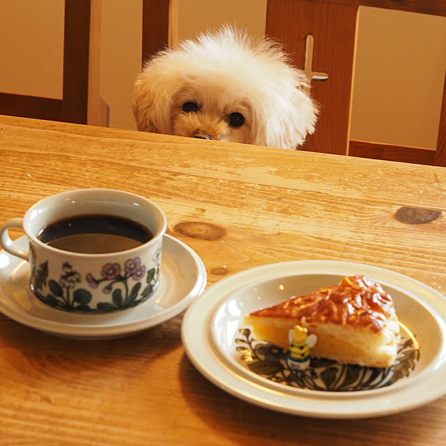 pinoさんの実例写真