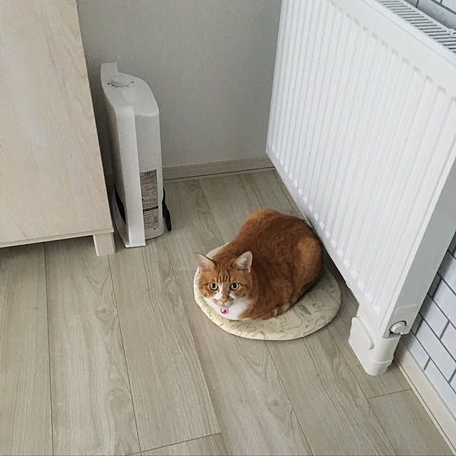 myuuさんの実例写真