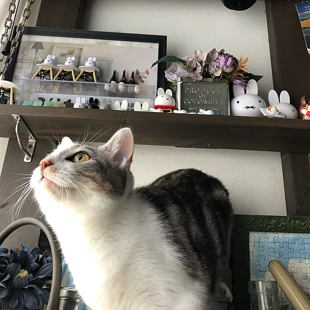 RUNRUNさんの実例写真