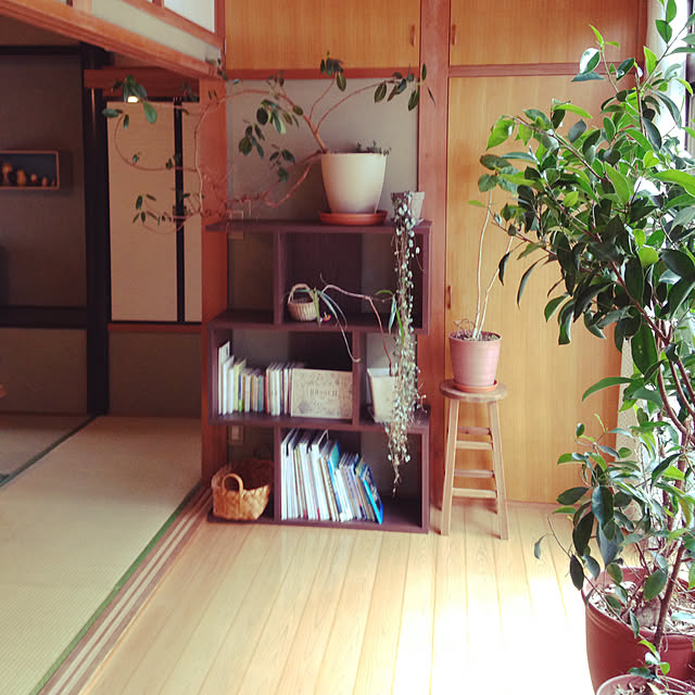 mamegohanさんの実例写真